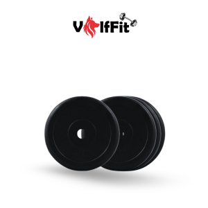 2 kg pair Rubber Plates
