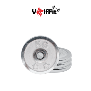 1 kg pair Iron plates