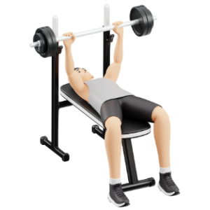 Gym Benches